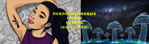 mdpv Бугульма